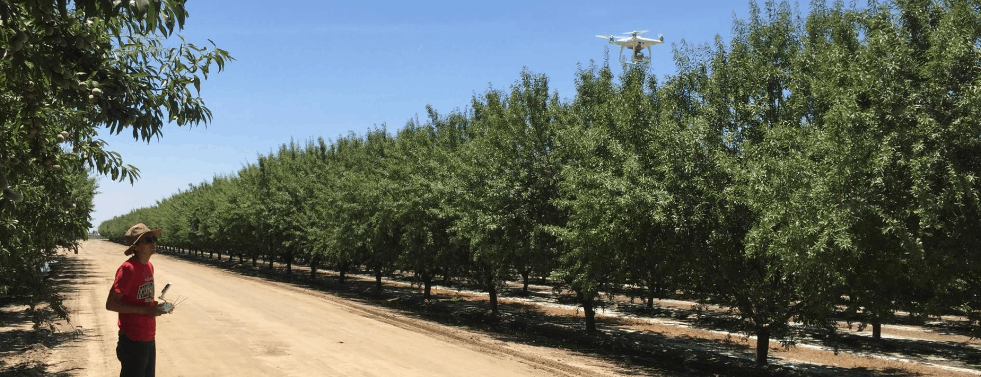 Farmer flying a drone