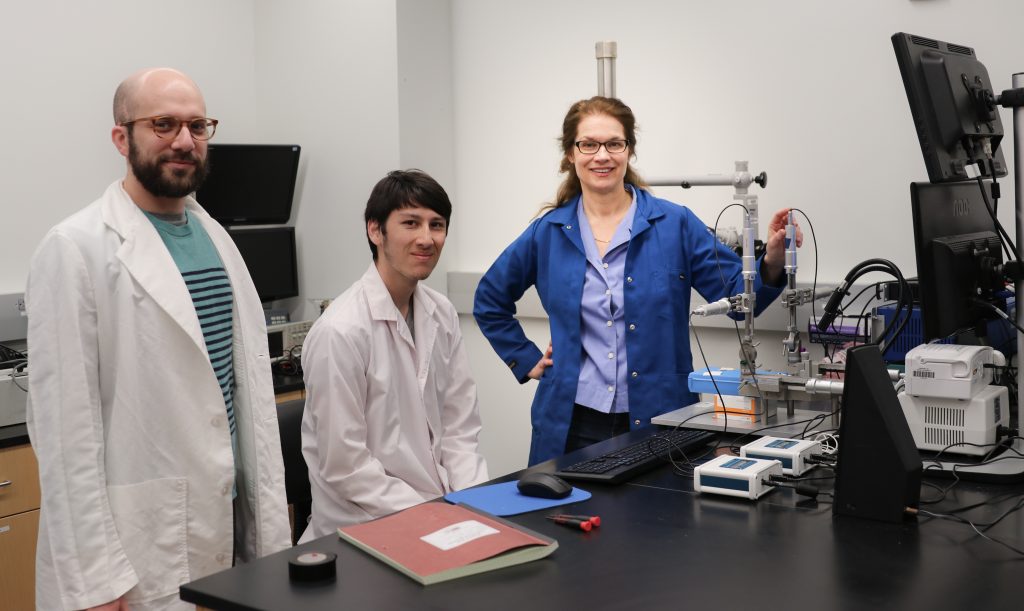 Karen Moxon, professor of biomedical engineering and neuroengineering reseacher, in her lab at UC Davis. Reeta Asmai/UC Davis