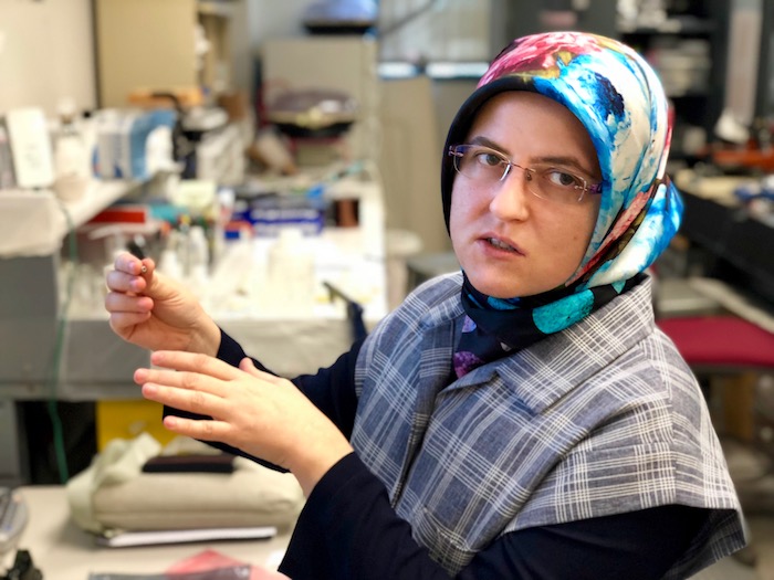 ilal Cansizoglu, a post-doctoral fellow in M. Saif Islam’s lab in the UC Davis Department of Electrical and Computer Engineering, explains how adding nanostructures to silicon can create ultrafast silicon photodiodes.