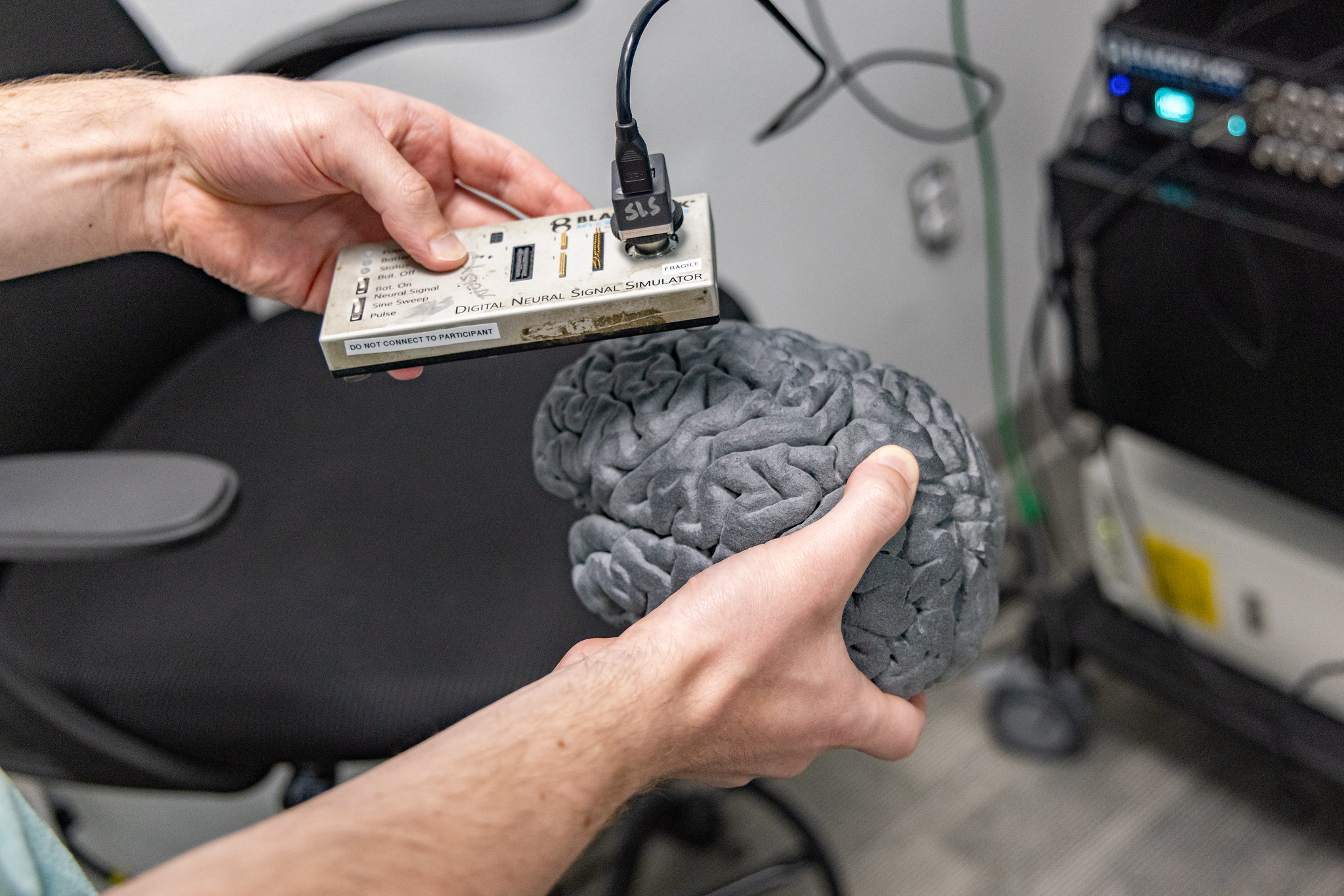 Singer-Clark holds a brain model
