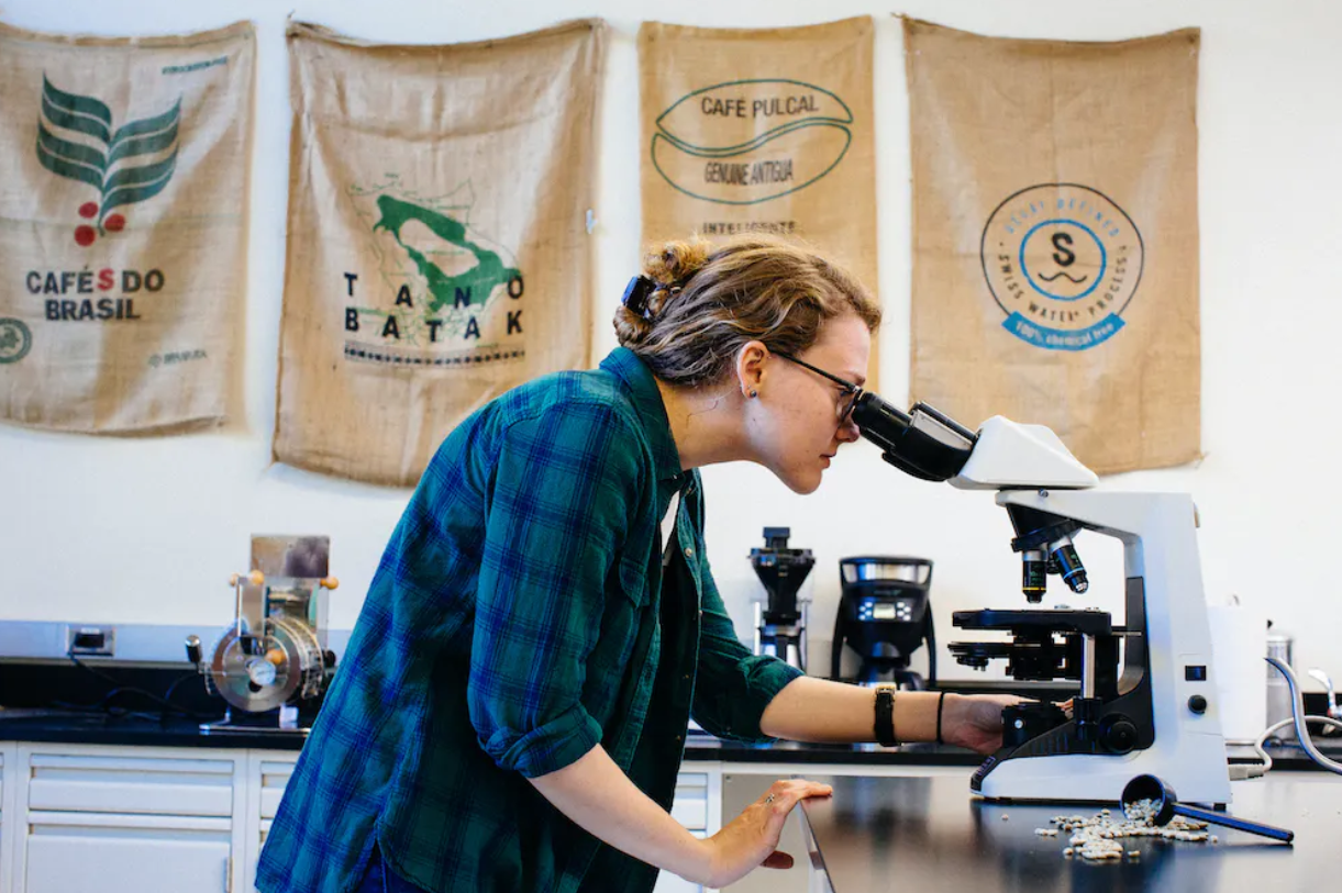 Student looking into a microscope in a lab. On the walls there are burlap coffee sacs behind the student.