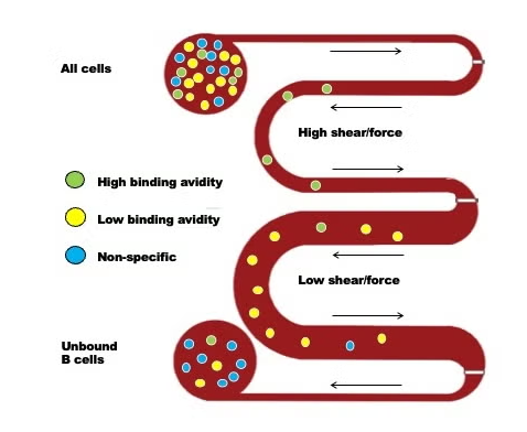 Figure showing concept of device