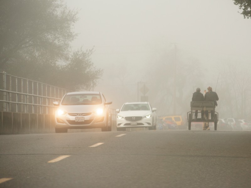 Cars driving in fog