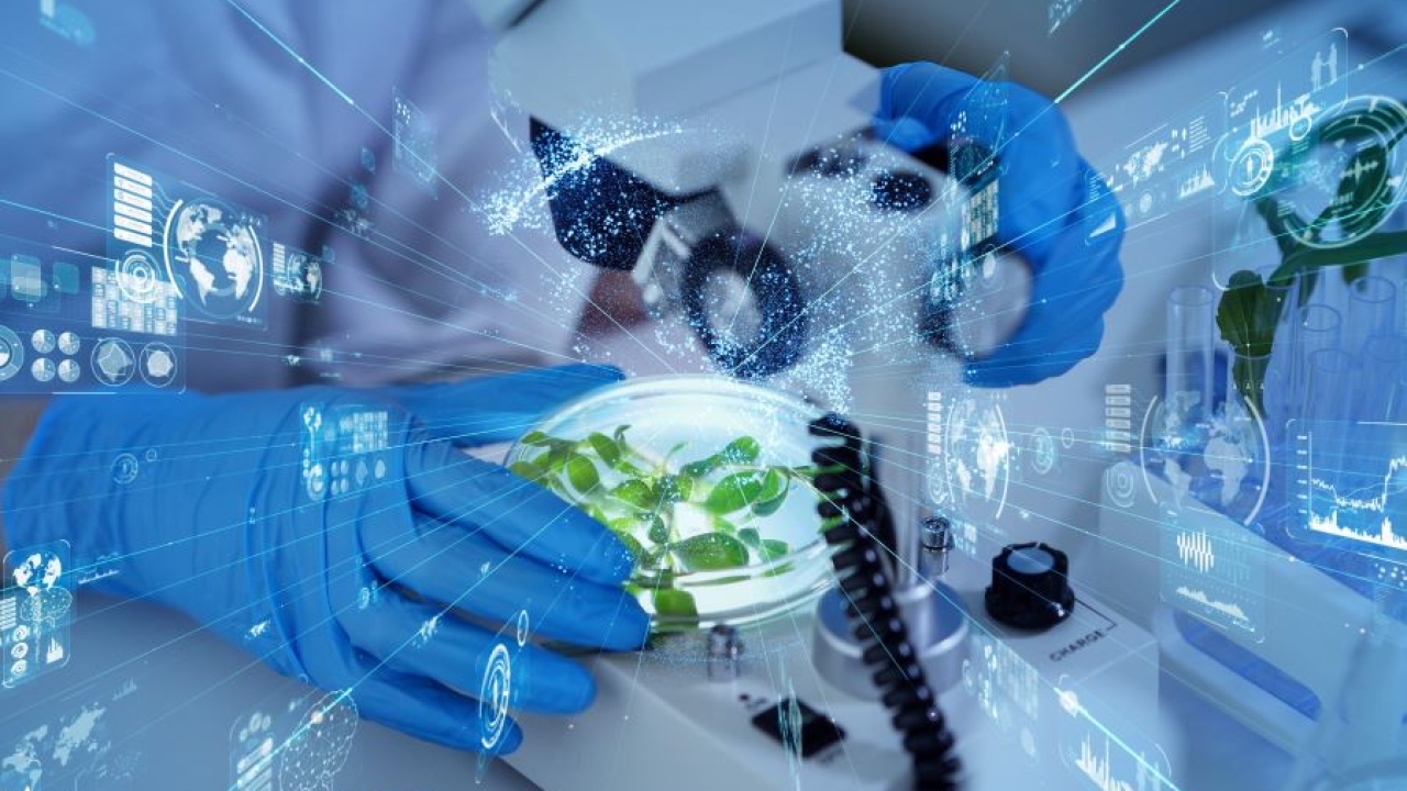 A blue-gloved hand holds a petri dish with greenery under a microscope with overlayed with digital imagery