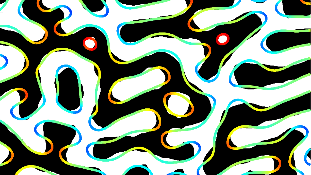 black, white and rainbow color squiggles