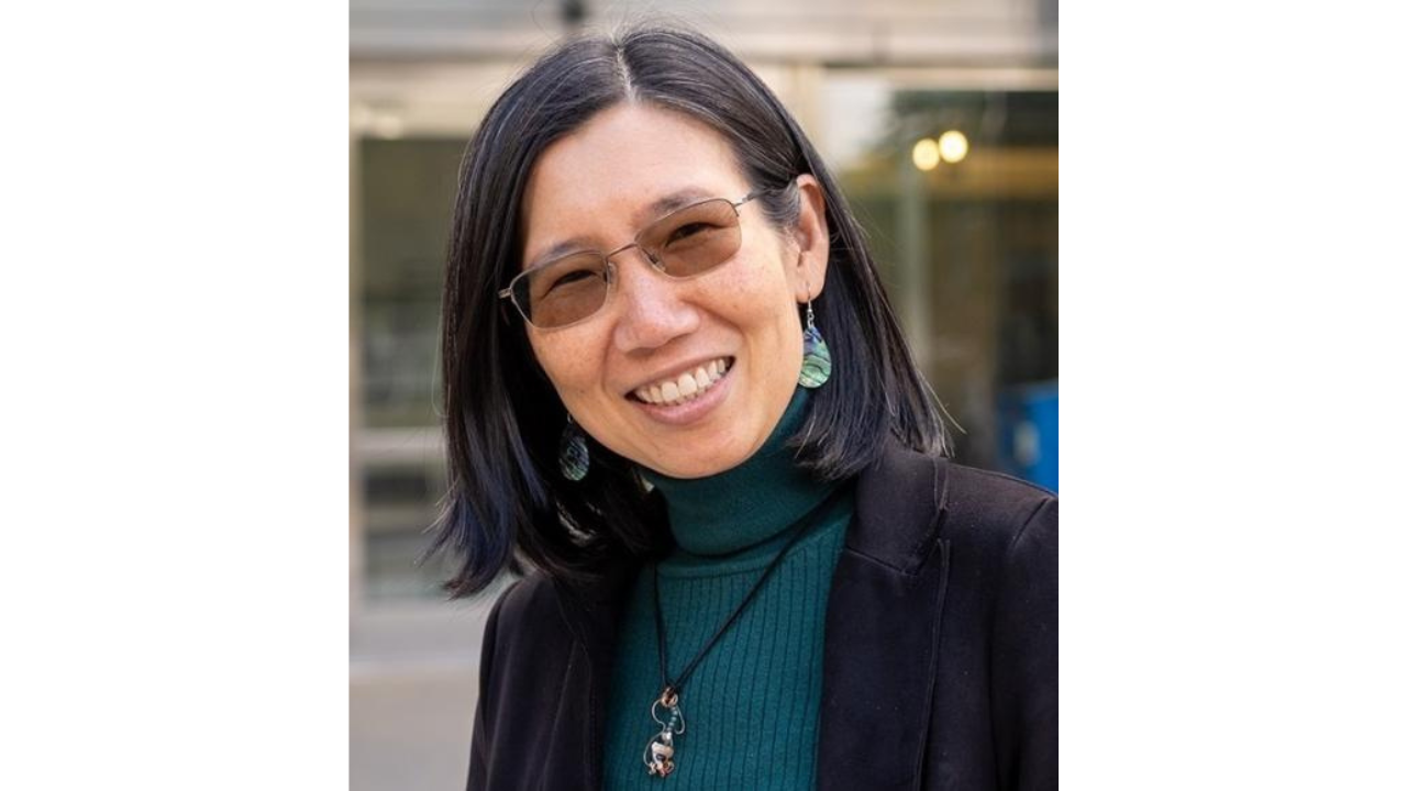 A portrait of Dr. Chen-Nee Chuah