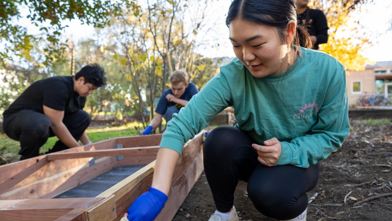 Students work outdoors at UC Davis Farm