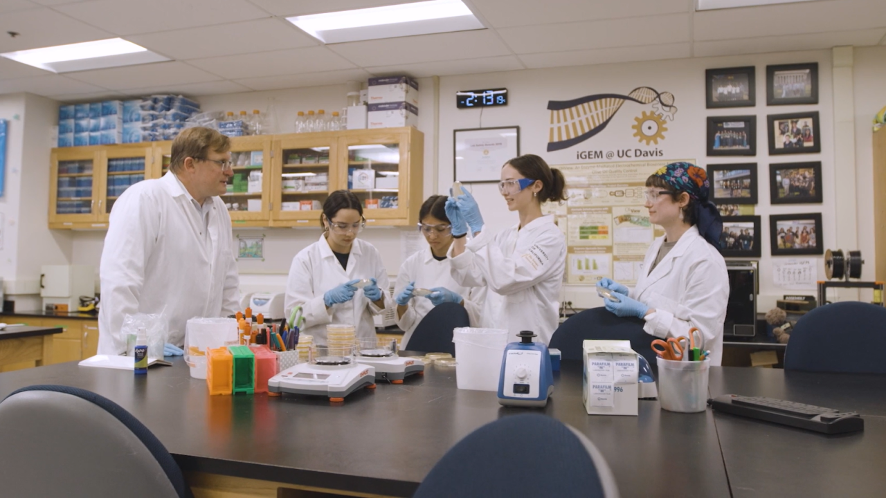 Four students and a professor working with lab materials