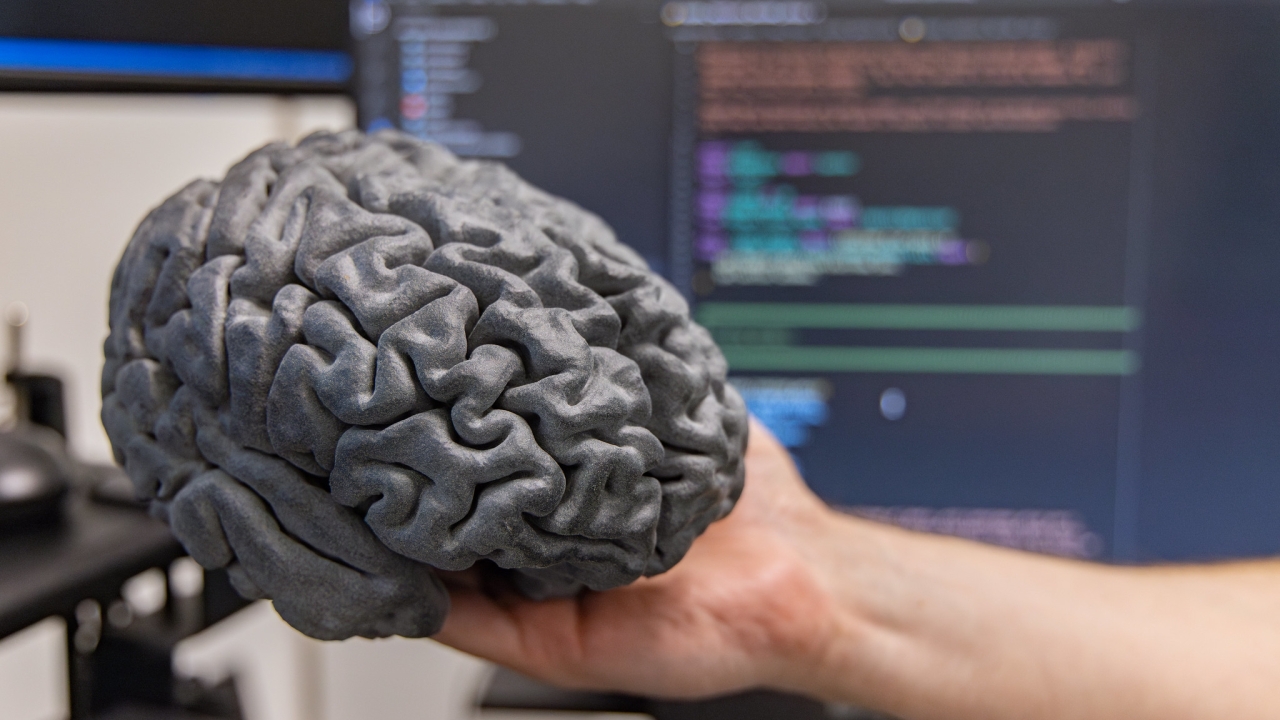 3D Printed brain model held by a hand