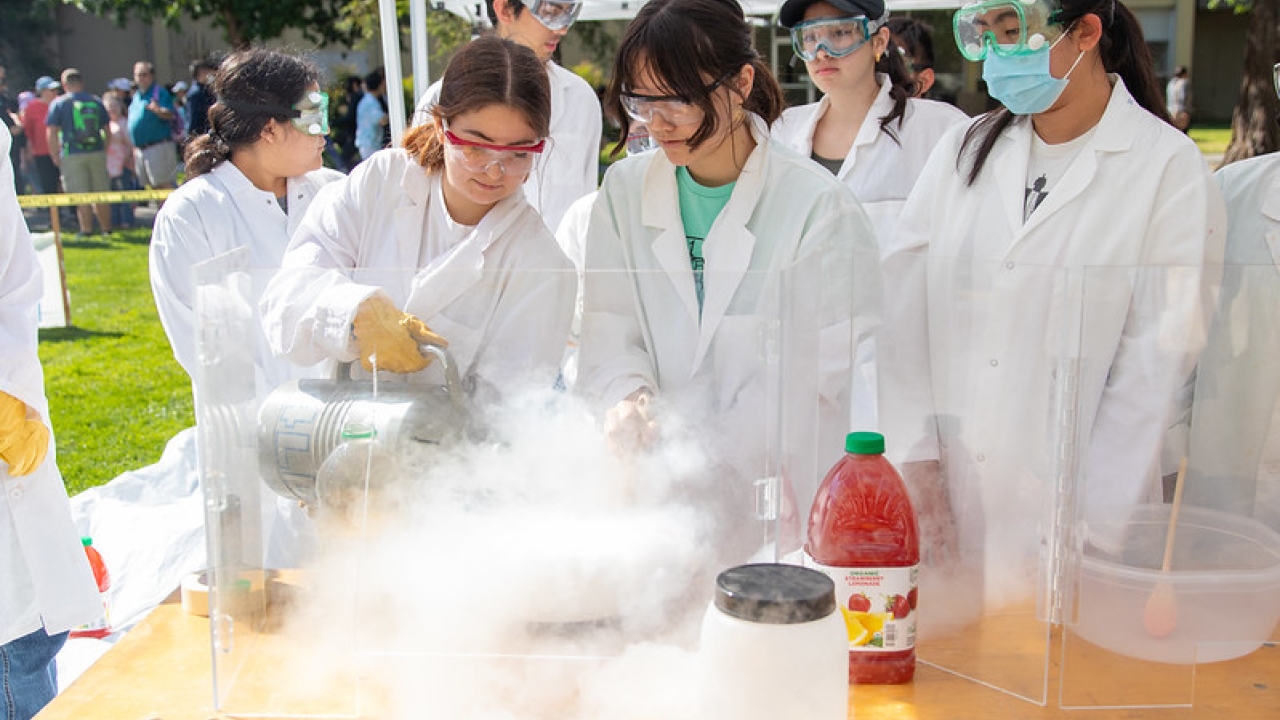 Liquid Nitrogen Sorbet