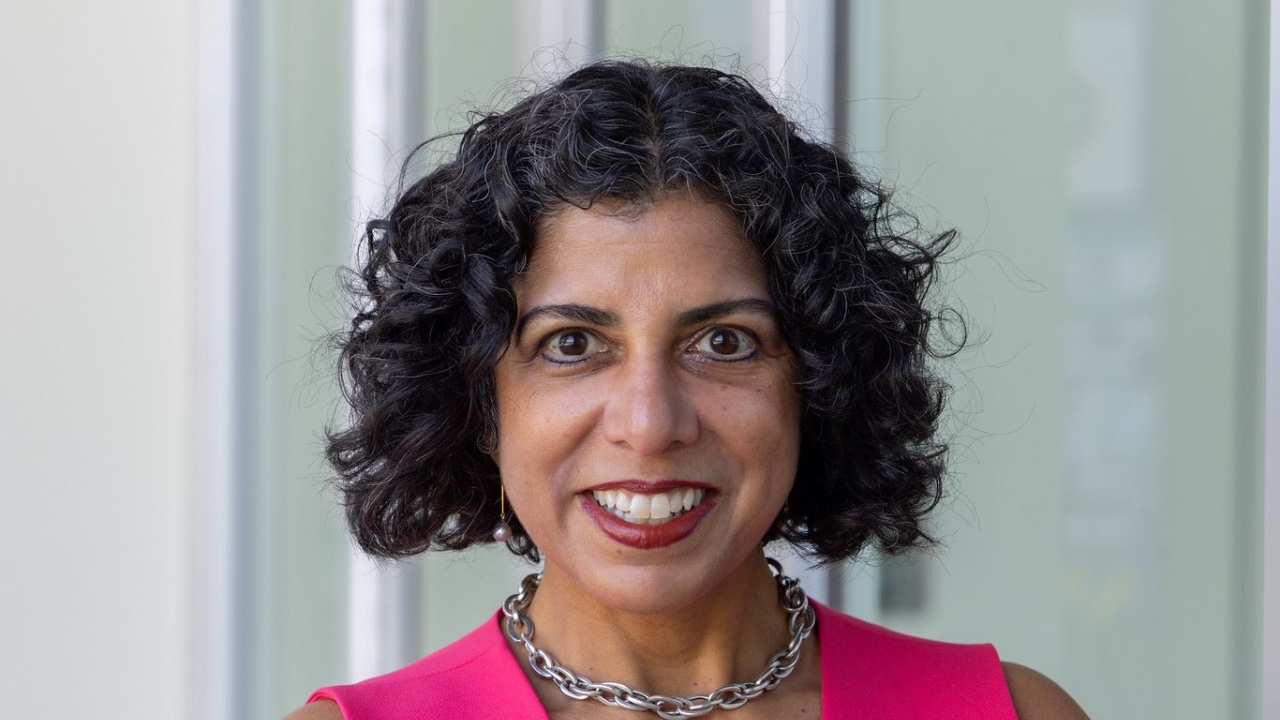 Raissa M. D'Souza, associate dean of research for the UC Davis College of Engineering wearing a pink vest and standing with her arms crossed