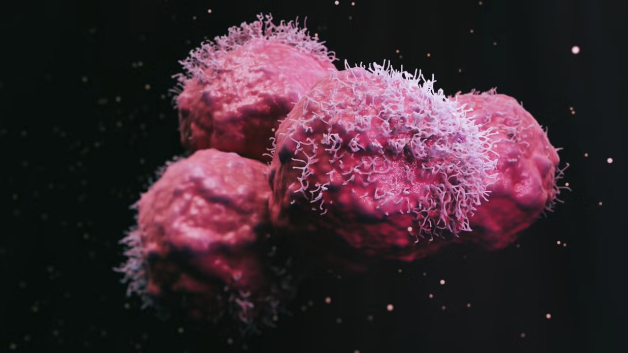 An up-close photo of pink P-cadherin proteins