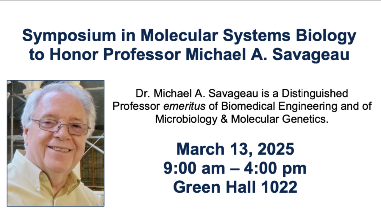 A flyer of the Symposium