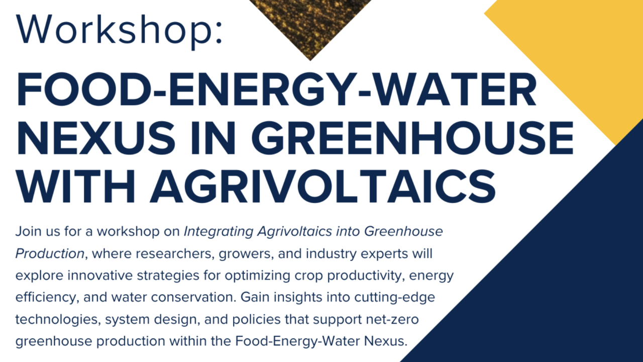 A graphic for the workshop