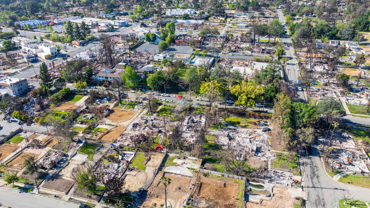 Aerial photo of suburban neighborhood with numerous burned, roofless houses and charred trees.