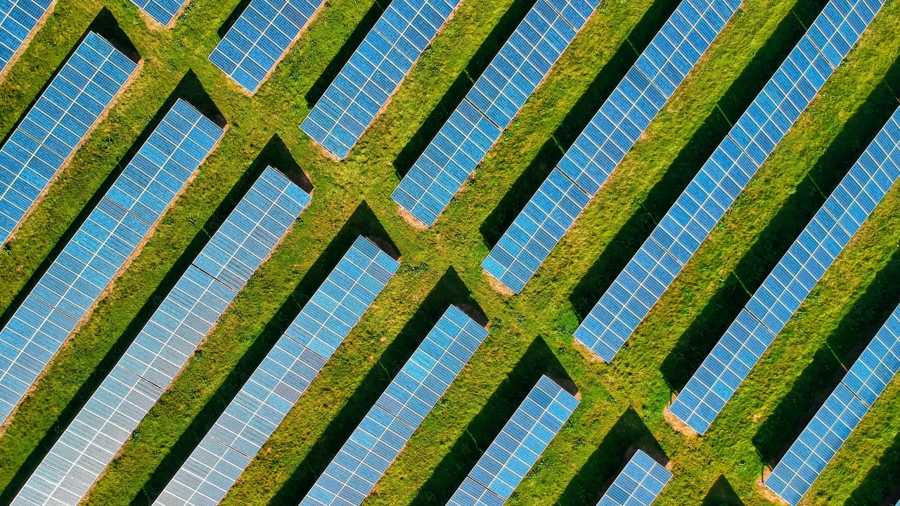 rows of solar panels in a field