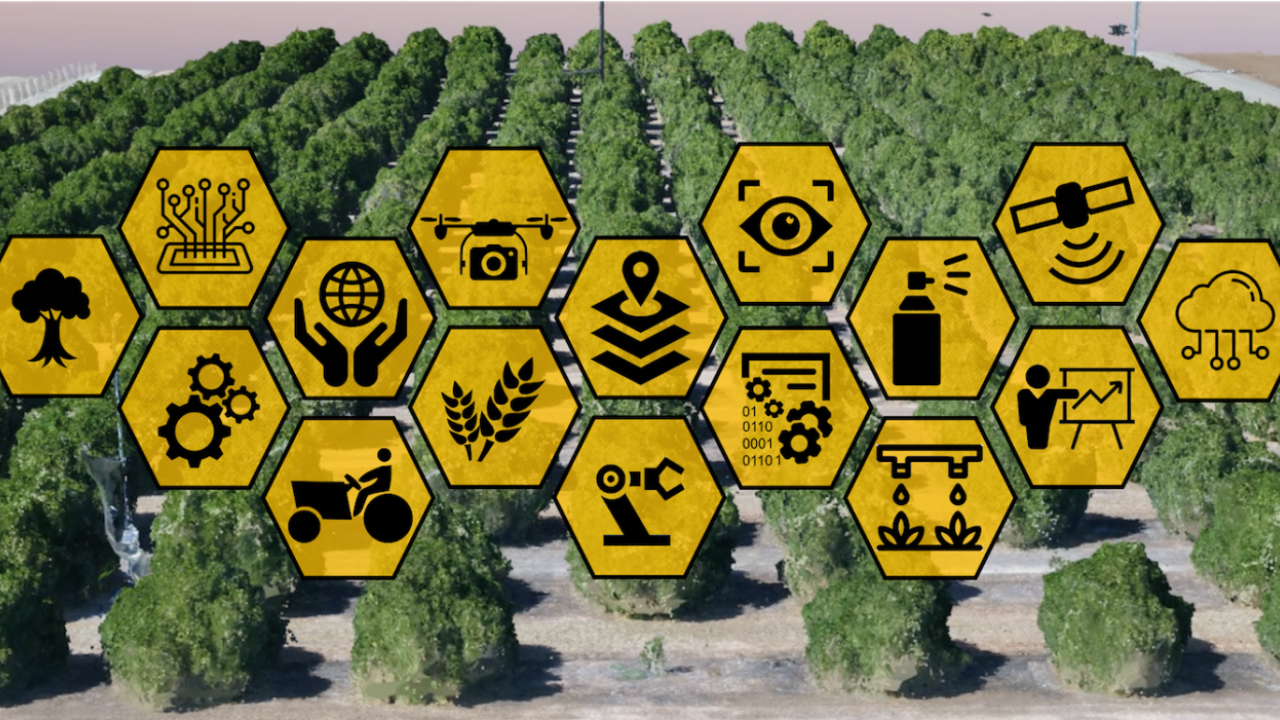 A field of trees with different yellow hexagons with icons in them overlaying the image