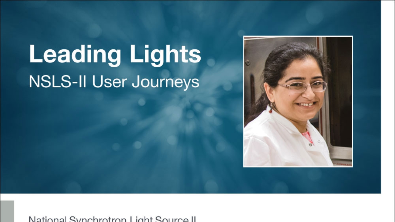 uc davis roopali kukreja materials science engineering brookhaven national laboratory
