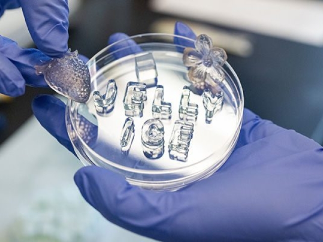 A petri dish with jelly ice that spells its name, being held by gloved hands