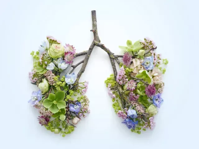 Flowers, plants, and sticks in the shape of human lungs