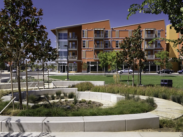 Energy and Efficiency Institute