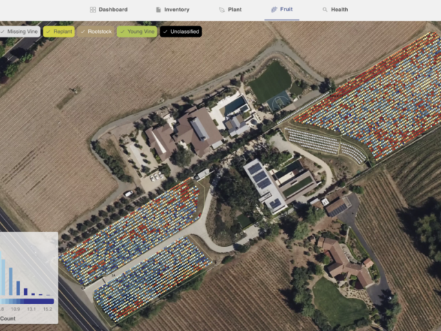 An aerial view of a vineyard with colored dots coordinating to a measure of plant health