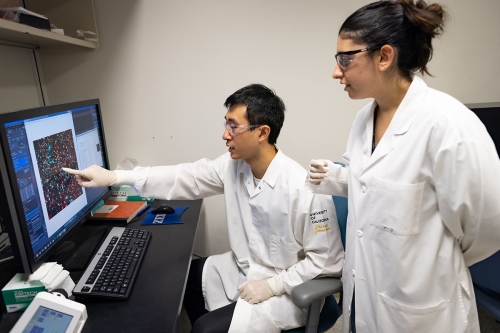 Biomedical Engineering graduate students Leora Goldbloom-Helzner and David Wang in lab coats stand near computer while wang points to image on screen