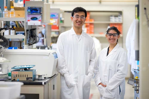 Biomedical Engineering graduate students Leora Goldbloom-Helzner and David Wang in a laboratory with PPE on pose for a photo.