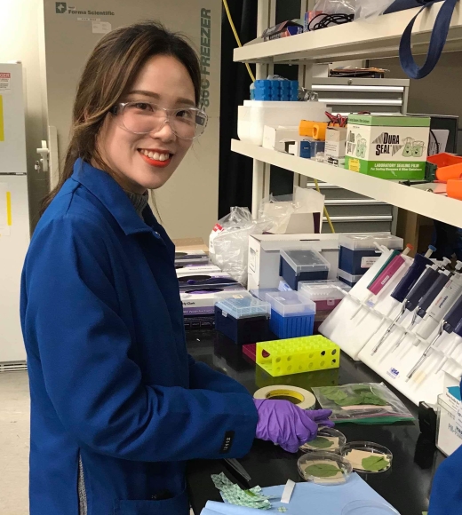 Dr. Yi in lab wearing PPE and handling leafy green samples
