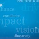 brilliance drive excellence impact vision