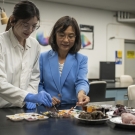 Professor Ruihong Zhang, Department of Biological and Agricultural Engineering works with student in lab