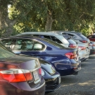 Parked cars lined up in a parking lot