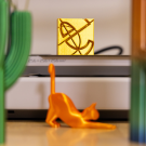 3D printed cactus, cat and COE logo