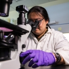 Wijaya looks at media in a cell plate through a microscope