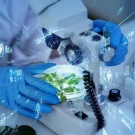 A blue-gloved hand holds a petri dish with greenery under a microscope with overlayed with digital imagery