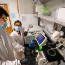 A man and woman wearing lab coats and protective goggles stand over lab equipment