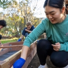 Students work outdoors at UC Davis Farm