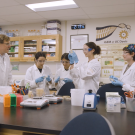 Four students and a professor working with lab materials