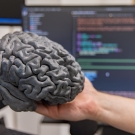 3D Printed brain model held by a hand