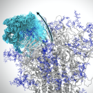 3D mockup of blue and white strings that represent molecules