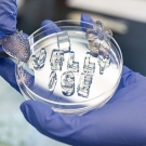 A petri dish with jelly ice that spells its name, being held by gloved hands