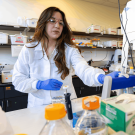 Koysuren in a lab coat and gloves works with equipment on a lab counter.