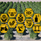 A field of trees with different yellow hexagons with icons in them overlaying the image