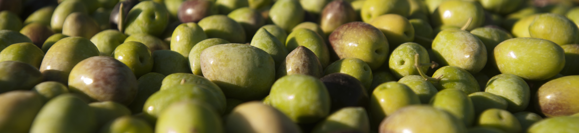 Food Energy And Water College Of Engineering