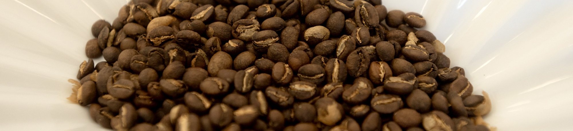 Roasted coffee beans on coffee filter