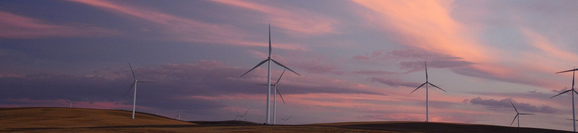 Windmills at sunset