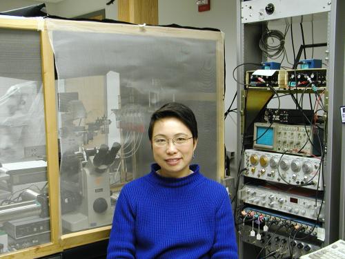 Ye Chen Izu in the lab