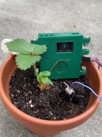 growful device with plant